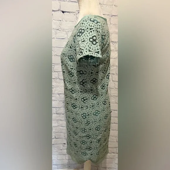 Ann Taylor Loft S 4 Seafoam Green Shift dress Cap Sleeve Lace Work Cocktail - Picture 4 of 8